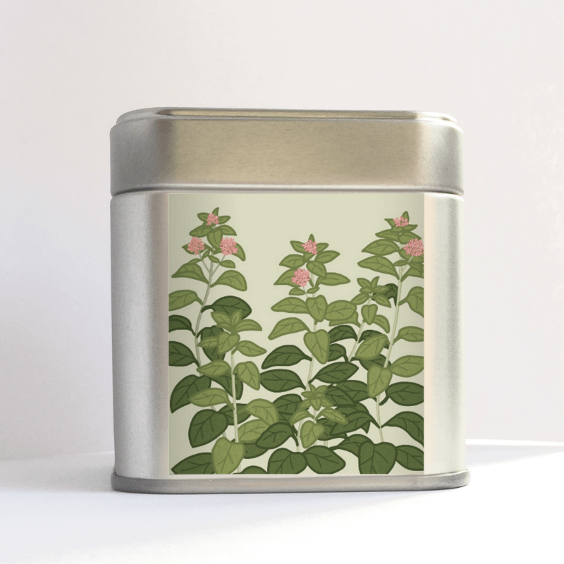 ekologisk oregano
