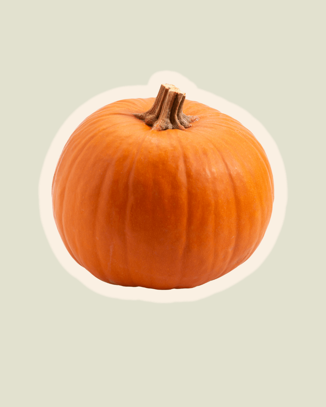 Pumkin Spice - kryddblandning