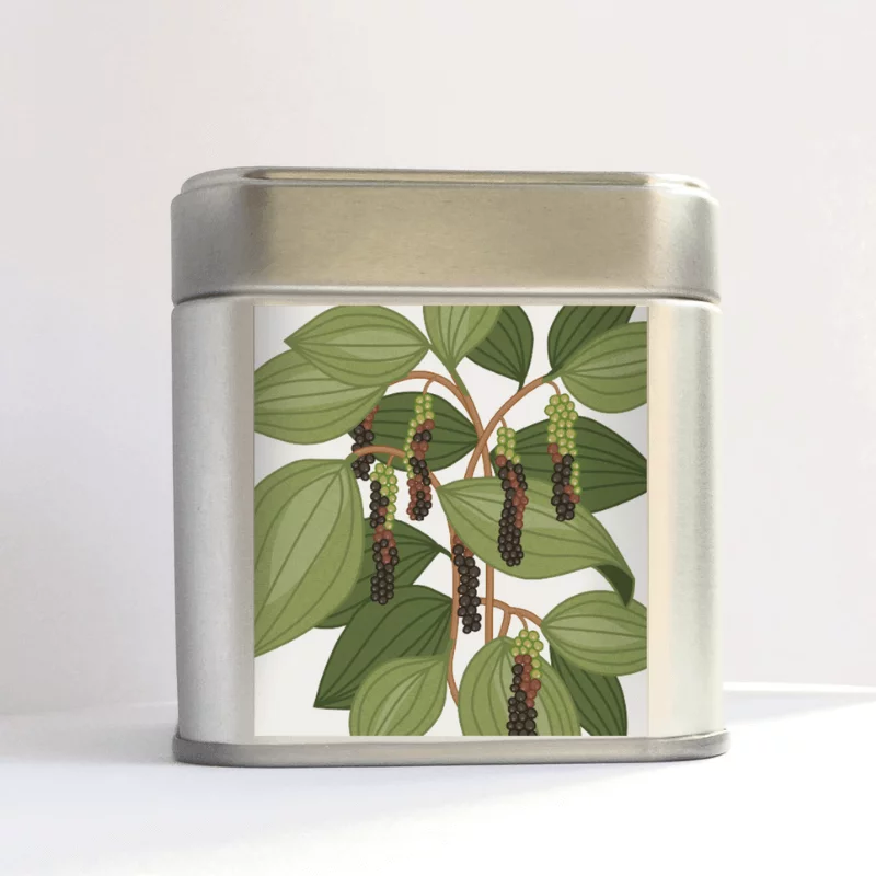 Svartpeppar, kryddburk - illustration Berry Pod Bark