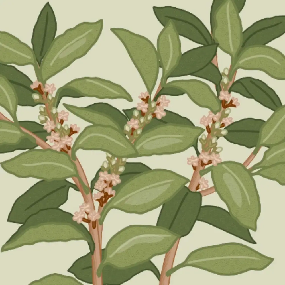 Illustration presentkort - Lagerblad - Berry Pod Bark