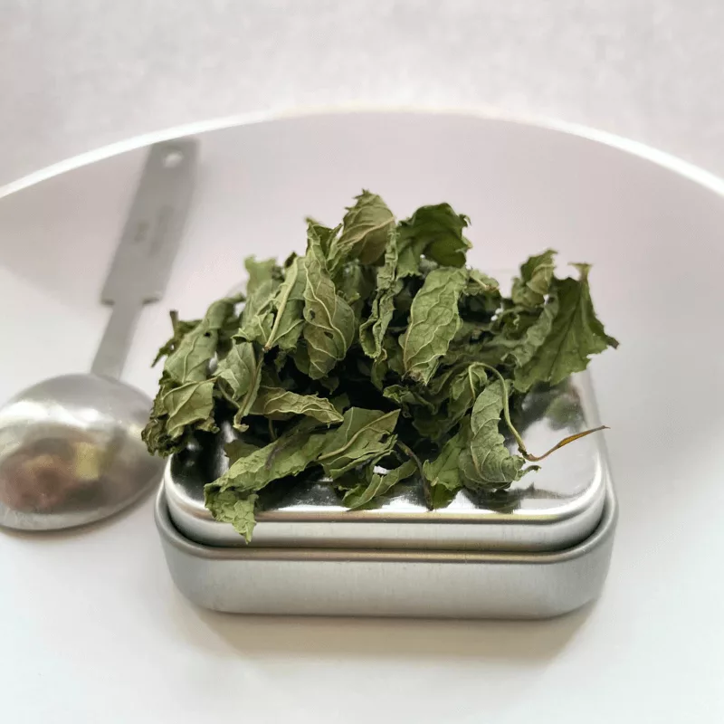 Mynta hela blad (Grönmynta)- fotografi - Berry Pod Bark